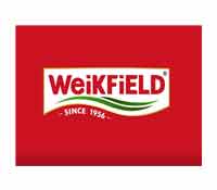 Industrial Architect, Industrial And Commercial Design Consultant, Structural, MEP